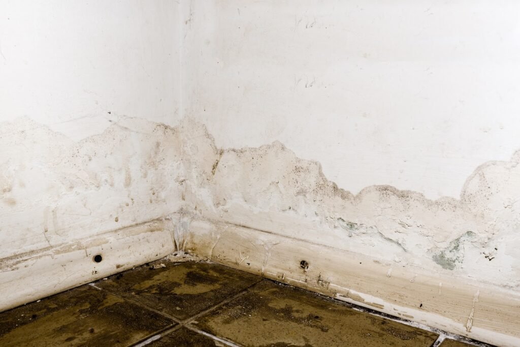 consequences of overlooking waterproofing - Defend Your Dwelling: Unraveling the Consequences of Overlooking Waterproofing Deterioration of Interior: Consequences of overlooking waterproofing