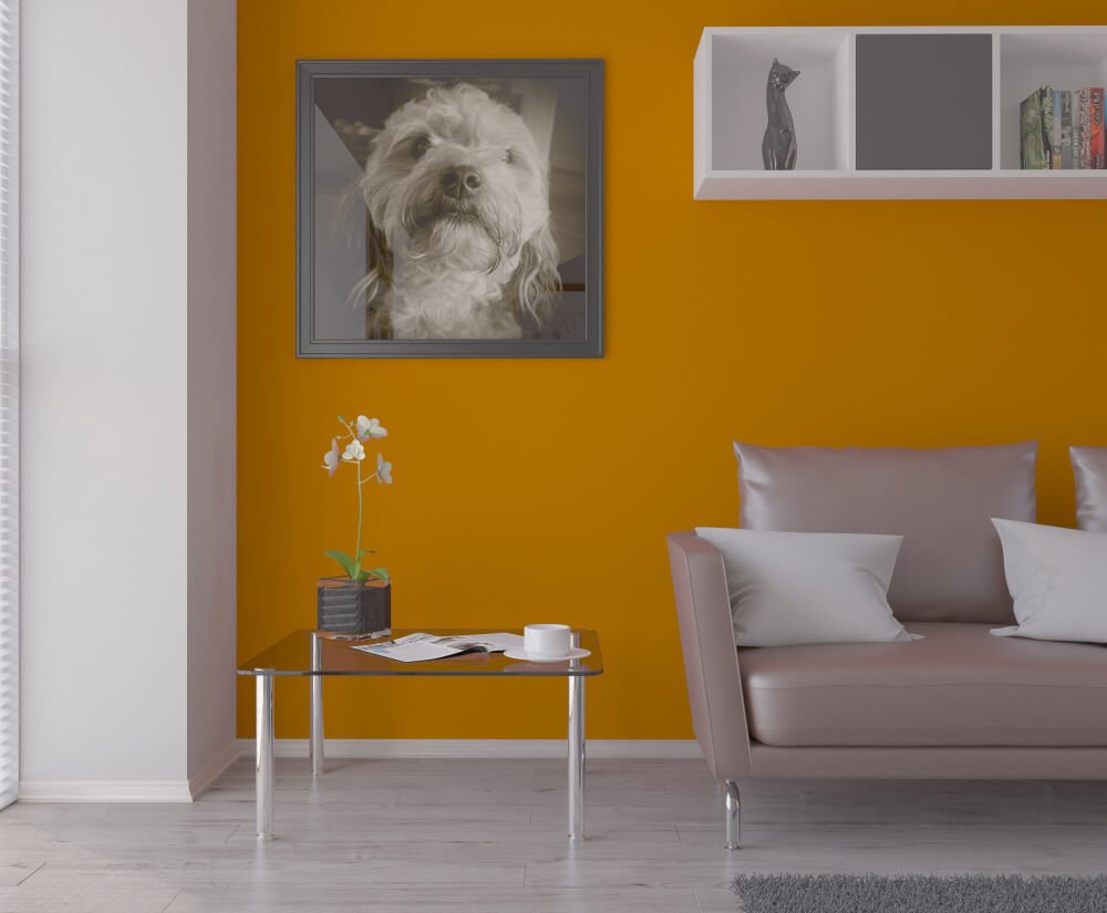 Painting Services in Bannerghatta - Choose the Best Painting Services in Bannerghatta, Bangalore Painting Services in Bannerghatta, home painting services in Bangalore